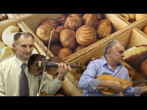 GALE, ILIJA I BEGAN  - Jel sloboda moja curo mila (Official Video)