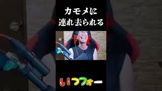 強力なボス戦中に一人カモメに連れ去られる仲間www【HowtoFish】【TUTTI】#釣り  #fps
