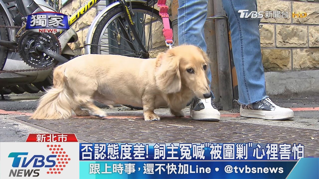 防火巷內遭狗咬！　老翁控：飼主辯沒看到