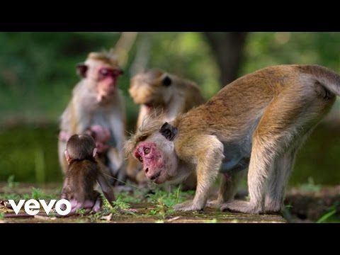 Jacquie Lee - It's Our World (From Disneynature's 