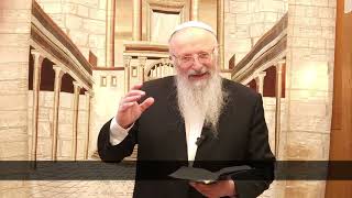 מה קורה בעולם הנשמות בחודש ניסן? | הרב שמואל אליהו | הלכה יומית | ב' ניסן תשפ"ה (הרב שמואל אליהו) - התמונה מוצגת ישירות מתוך אתר האינטרנט יוטיוב. זכויות היוצרים בתמונה שייכות ליוצרה. קישור קרדיט למקור התוכן נמצא בתוך דף הסרטון