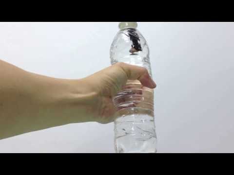 Cartesian Diver – Physics Lens