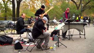 Empire State of Mind • Chris Dingman Quartet • Jazz & Colors / Central Park • 11/10/12