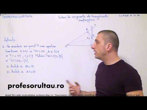 probleme rezolvate congruenta triunghiuri dreptunghice - profesorultau.ro