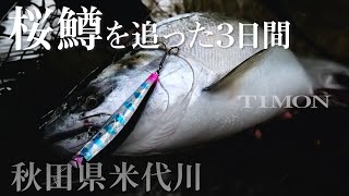 【TIMON サクラマス】銀鱗を追い求めた３日間、トリコロールGT-DRでサクラマスを捕獲 / 飛田俊一郎、藤村修司