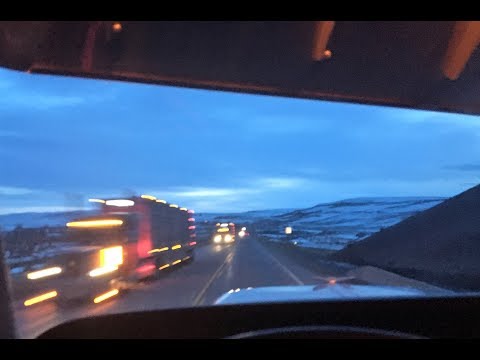 Ned Ledoux - Brother Highway (trucking cattle)