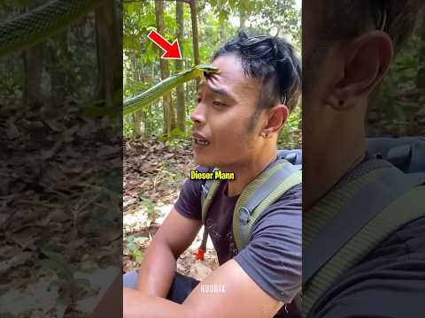 So überlebst du einen Schlangenbiss! 😨