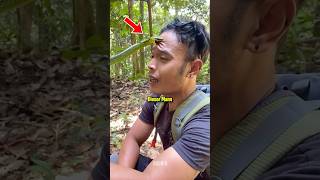 So überlebst du einen Schlangenbiss! 😨