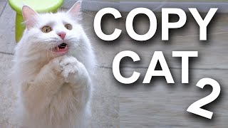 COPYCAT 2