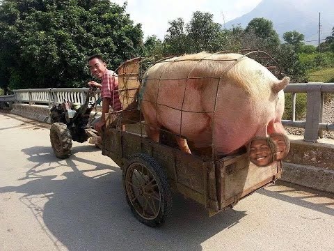 [free] (6+ loop kit) Guitar Alternative Rock - Apocalpyse | Destroy Lonely x hardrock