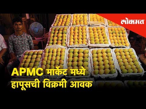 download lagu mp3 mp4 Alphonso Mango Price In Apmc Market Vashi 2019, download lagu Alphonso Mango Price In Apmc Market Vashi 2019 gratis, unduh video klip Alphonso Mango Price In Apmc Market Vashi 2019