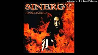 Sinergy - The Bitch is Back
