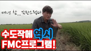 수도작 재배 올해 가격만 좋았으면 대박인데... FMC프로그램으로 하면 수확량 품질은 정말 좋은 쌀을 만드는…