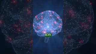 בעל יקר! תמיד תמיד תחפש מה טוב באשתך!- הרב אפרים שרבני (הרב אפרים שרבני) - התמונה מוצגת ישירות מתוך אתר האינטרנט יוטיוב. זכויות היוצרים בתמונה שייכות ליוצרה. קישור קרדיט למקור התוכן נמצא בתוך דף הסרטון