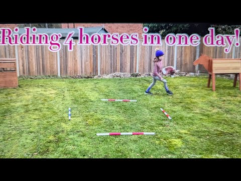 Riding 4 horses in one day! It was hectic!