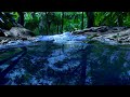 Rushing River Sounds To Sleep 10 Hour Water Sounds For Sleeping