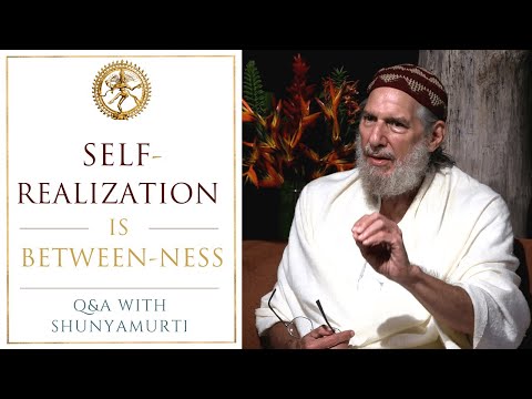 Why Meditate at the Micro-Moment of the Omega Point ~ Questions and Answers with Shunyamurti