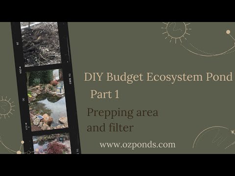 Diy Budget ecosystem pond part 1- Prepping the area and turning a barrel into a bog filter