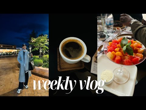 WÖCHENTLICHER VLOG: Auto & Gerede | Mittagessen-Dates | Dany Nanone + mehr