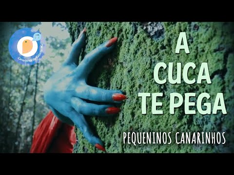 [A Cuca te pega] - Pequeninos Canarinhos