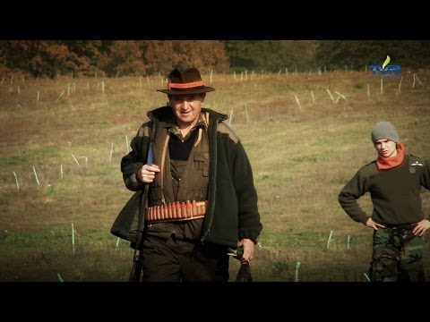 Darz Bór odc. 69 - Polowanie na kaczki