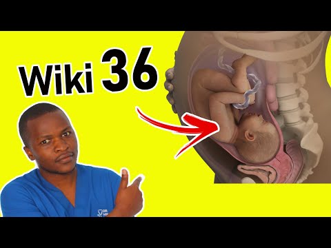 Je Dalili Za Mimba Ya Wiki 36/ Miezi 9 ni Zipi? ( Dalili 12 Mimba Ya Wiki 36)!