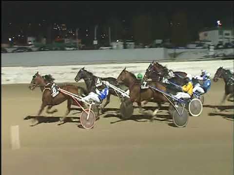 Trotto 10/11/2017 - 7ª corsa