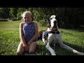 13 Year Old Girl Walks Again Because Of Great Dane