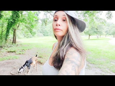 My GOAT was bitten by a SNAKE!