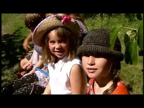L'arbre est dans ses feuilles - Carmen Campagne