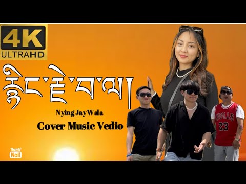 2024 NEW TIBETAN COVER MUSIC||NYING JAY WALA||རྙིང་རྗེ་བ་ལ།||TIBETAN VLOGGER||TIBETAN SONG||BIR||
