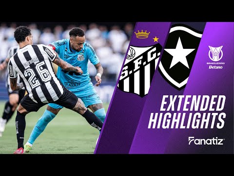 Santos vs. Botafogo 0-1 | Game Highlights | #Brasileirao2025