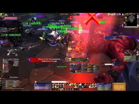 Database vs Hellfire High Council M Holy Paladin POV