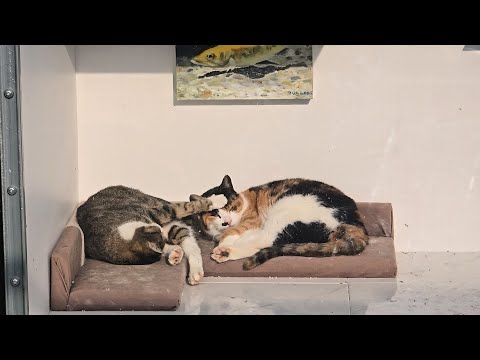 두 눈을 의심했다