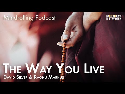The Way You Live with David Silver & Raghu Markus – Mindrolling Ep. 464