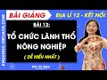 Địa lí 12 Bài 13: Tổ chức lãnh thổ nông nghiệp | Kết nối tri thức