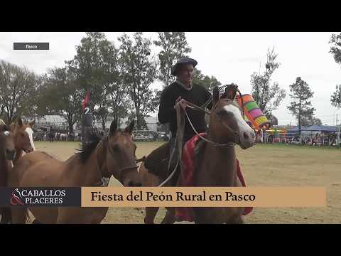 Fiesta del Peón Rural 2026 #Pasco  🇦🇷 #CaballosyPlaceres