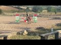PONY IN VENDITA LUNA