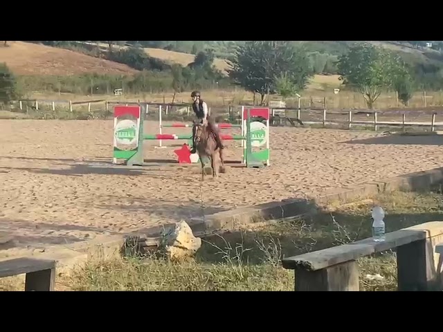 PONY IN VENDITA   LUNA