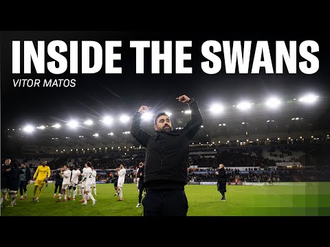 Inside the Swans | Vitor Matos