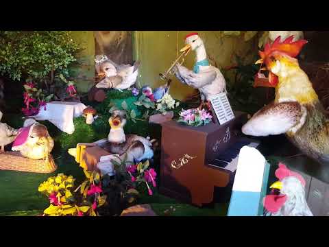 Erlebnispark Ziegenhagen Vogelhochzeit