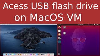 macos-simple-kvm: How to access a USB flash drive