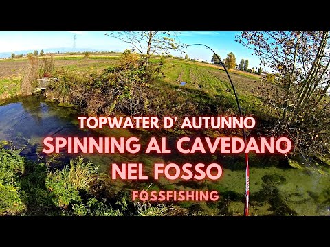 SPINNING AL CAVEDANO nel fosso e TOP WATER a raffica!!!