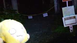 夜の淡島神社RTAがやりたかった