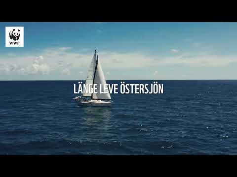 Östersjön - en av världens mest förorenade hav