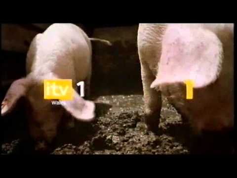 ITV1 Wales 'Fun' ident - 2006