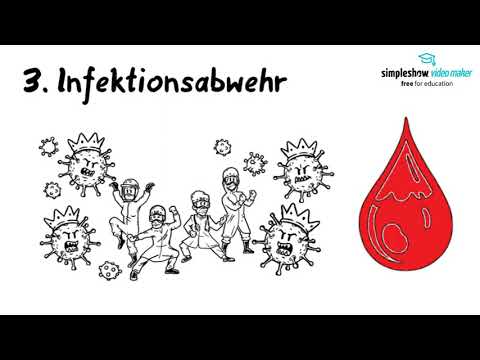 Aufgaben des Blutes - einfach erklärt