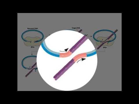 05 W9  S4  Integration 11 41