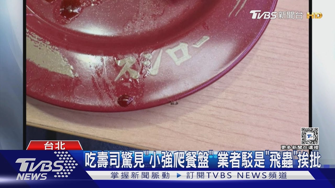 吃壽司驚見「小強爬餐盤」 業者駁「飛蟲」挨批