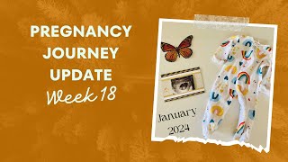 Pregnancy Journey Update | Week 18 | Rainbow Baby